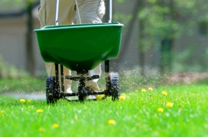 Spring Lawn Maintenance Checklist for Colorado