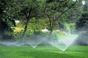 5 Easy Steps for Spring Irrigation Start Up