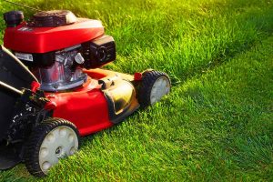 How To Keep a Green Lawn All Summer