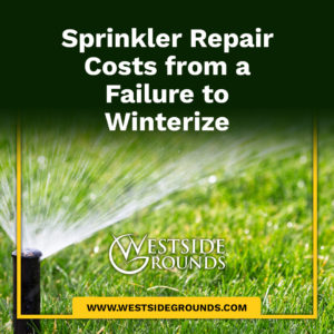 Sprinkler Repair Costs from a Failure to Winterize