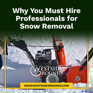 Why You Must Hire Professionals for Snow Removal