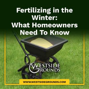 Fertilizing in the Winter: What Homeowners Need To Know