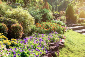 Choosing the Right Landscaping Company: 5 Questions to Ask Before Hiring