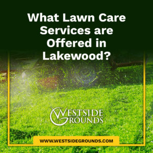 What Lawn Care Services are Offered in Lakewood?