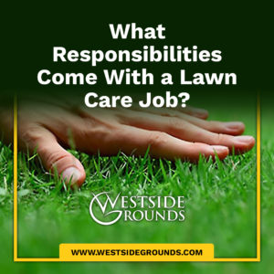 What Responsibilities Come With a Lawn Care Job?