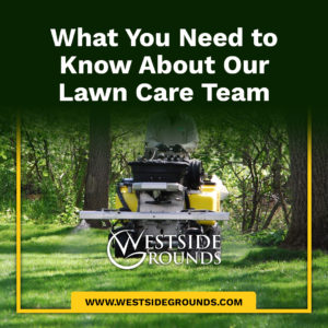 What You Need to Know About Our Lawn Care Team