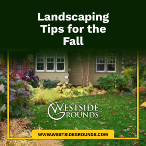 Landscaping Tips for the Fall
