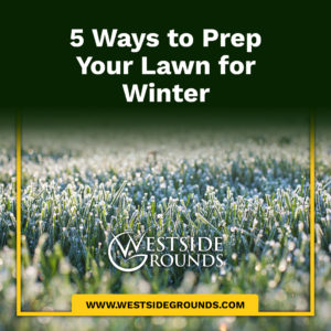 5 Ways to Prep Your Lawn for Winter