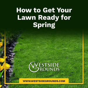 How to Get Your Lawn Ready for Spring