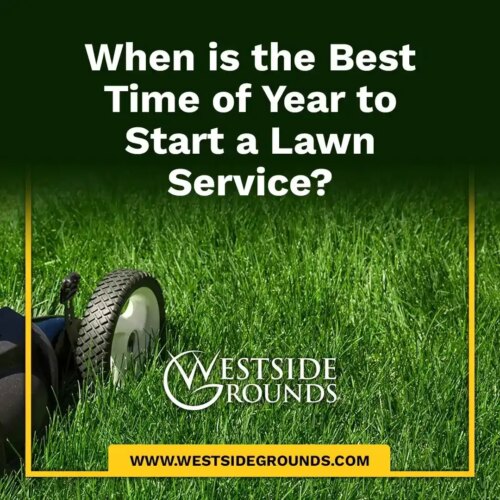 When is the Best Time of Year to Start Lawn Care?