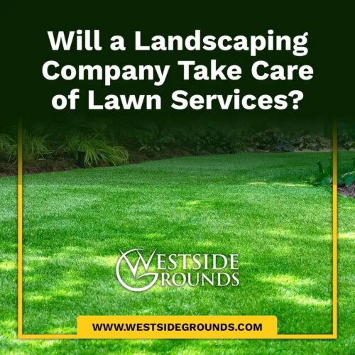 Will a Landscaping Company Take Care of Lawn Services?