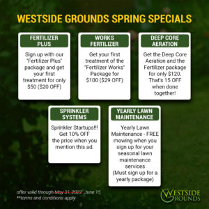 5 Commercial & Residential Lawn Care Spring Specials You Don’t Want to Miss
