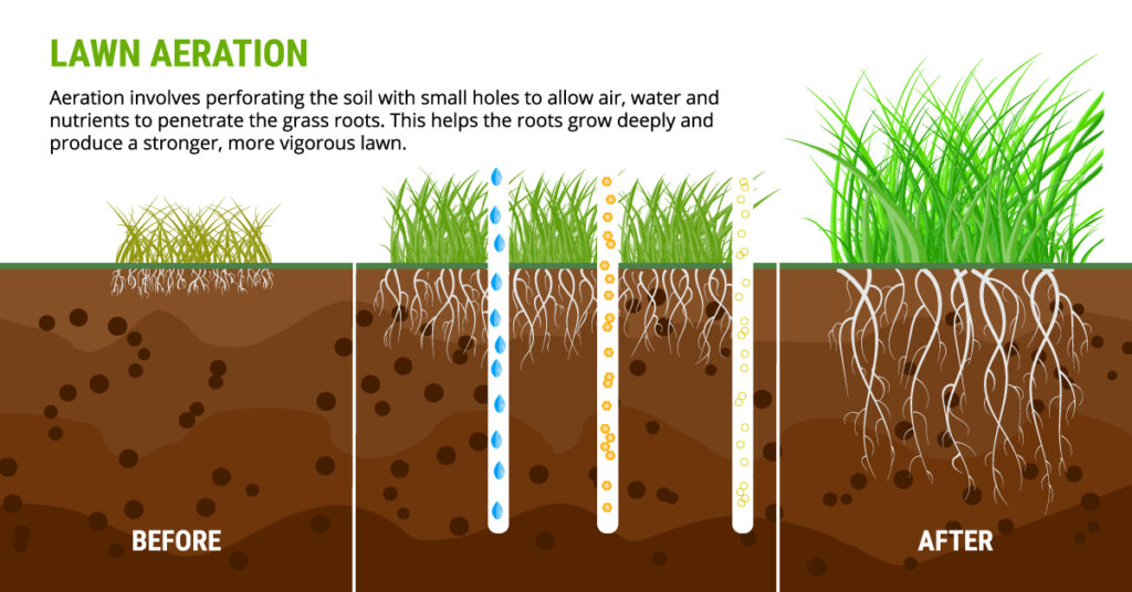 Lawn Aeration Denver and Lakewood