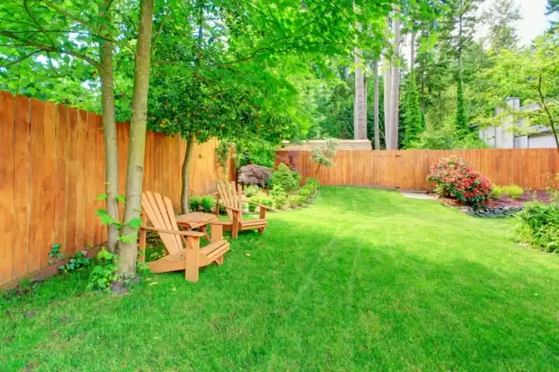Lawn Overseeding