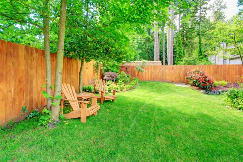 Denver & Lakewood Commercial Hedge & Tree Trimming
