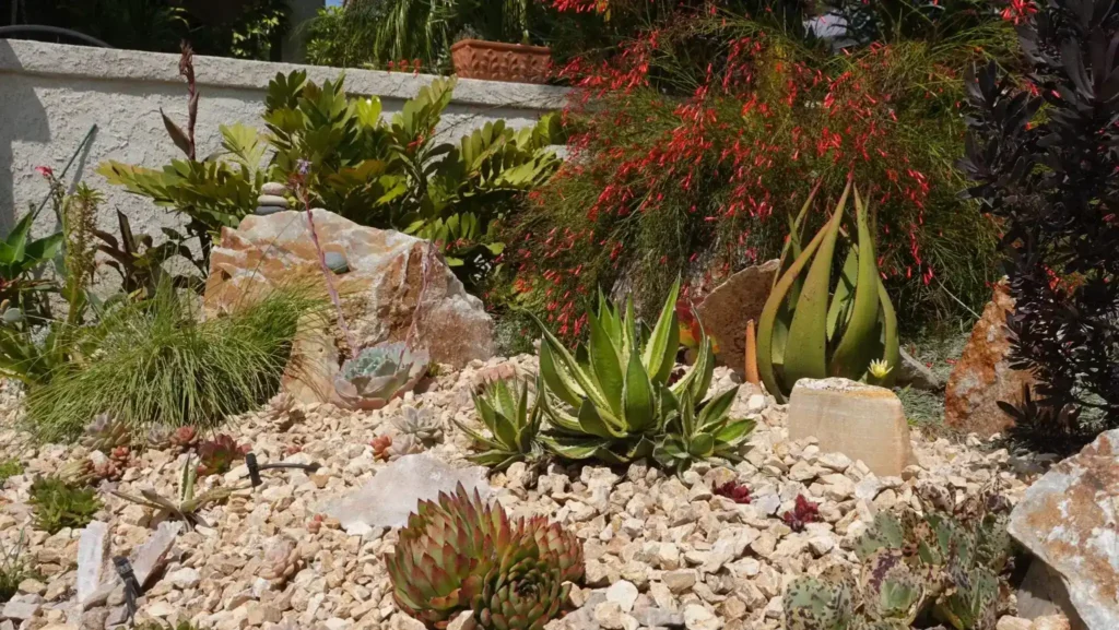 Front Yard Xeriscape Ideas in Colorado