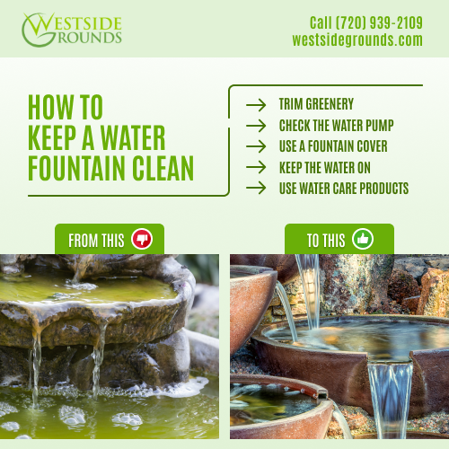 How to keep a water fountain clean