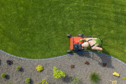 When to Aerate Your Lawn