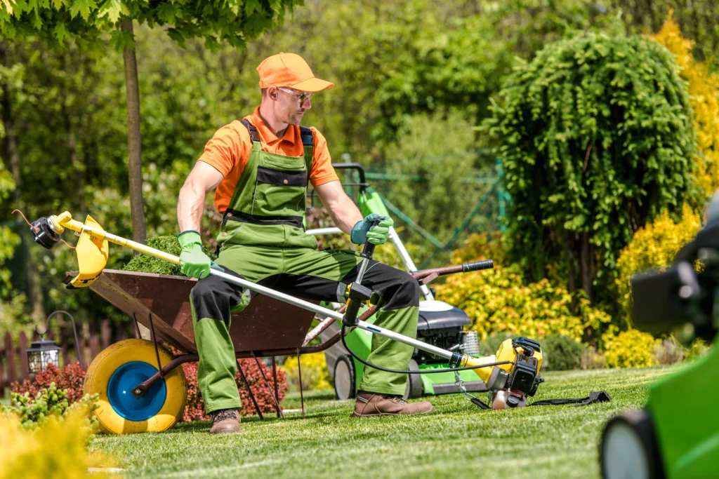 Lawn Mowing Service