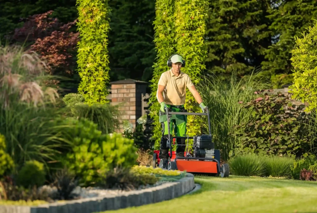 Lawn Aeration Denver