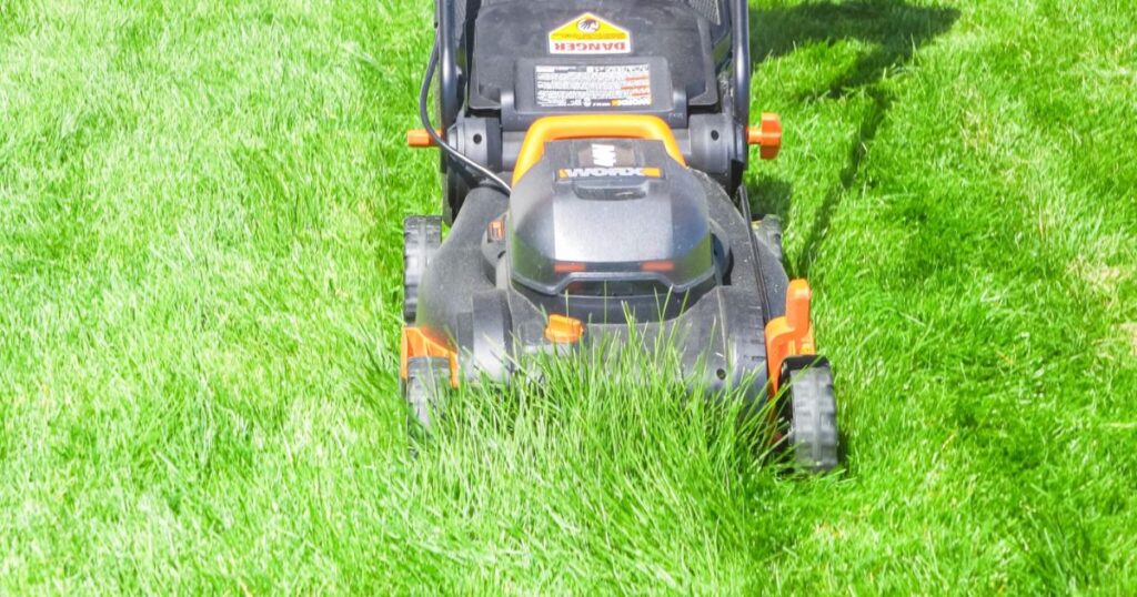 lawn care Arvada
