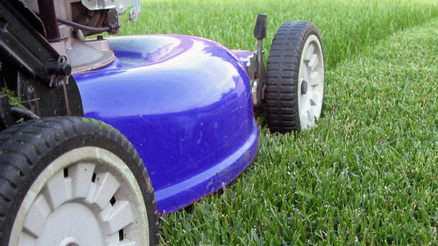 Lawn Mowing Arvada CO