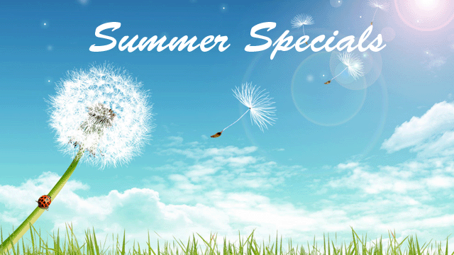 summer-landscape