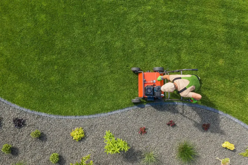 landscape edging ideas