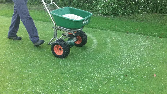 how often should you fertilize your lawn