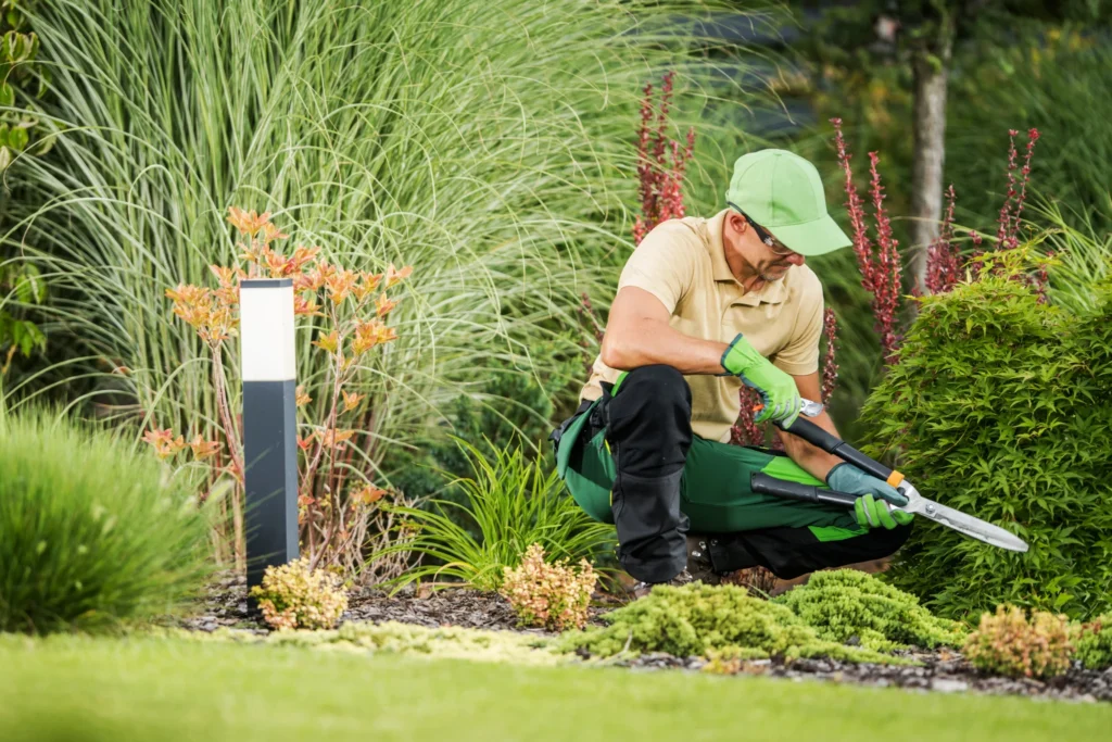 Colorado Luxury Landscape Designs for Winter